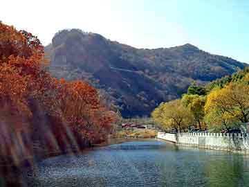 天天彩好彩天天免费，校花当道